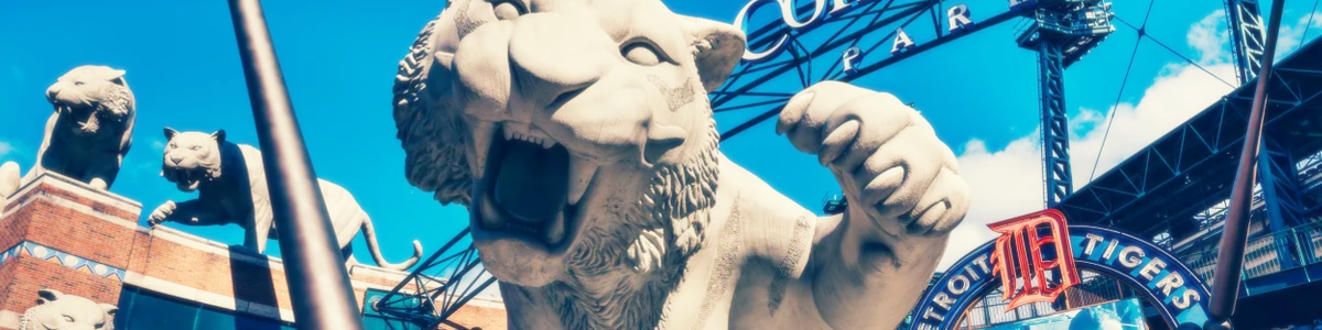 Header image